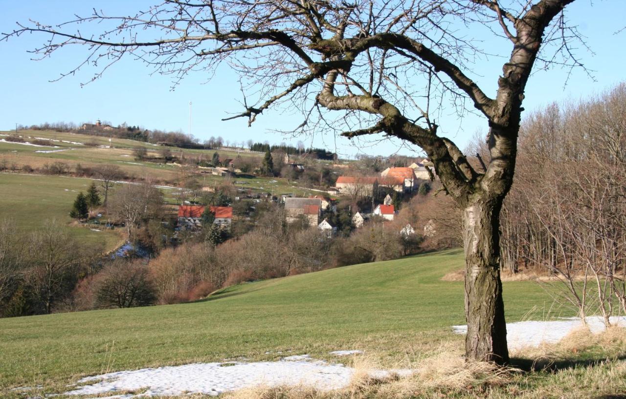 Fachwerkhaus Maxen Villa Muglitztal Exteriör bild